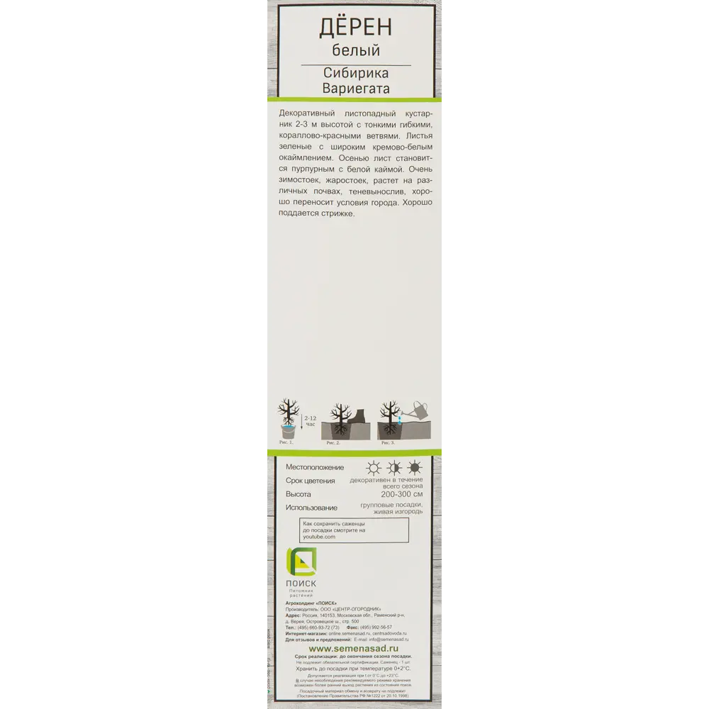 Дерен белый Сибирика Вариегата 82527656 STLM-2130043 Santreyd  - Вид №1