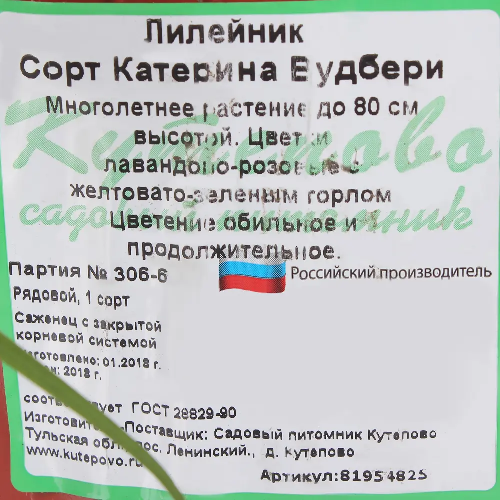 Лилейник С1 «Катарина Вудберри» 81954825 STLM-2085664 Santreyd  - Вид №2