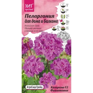 Пеларгония «Колорама» фиолетовая F2
