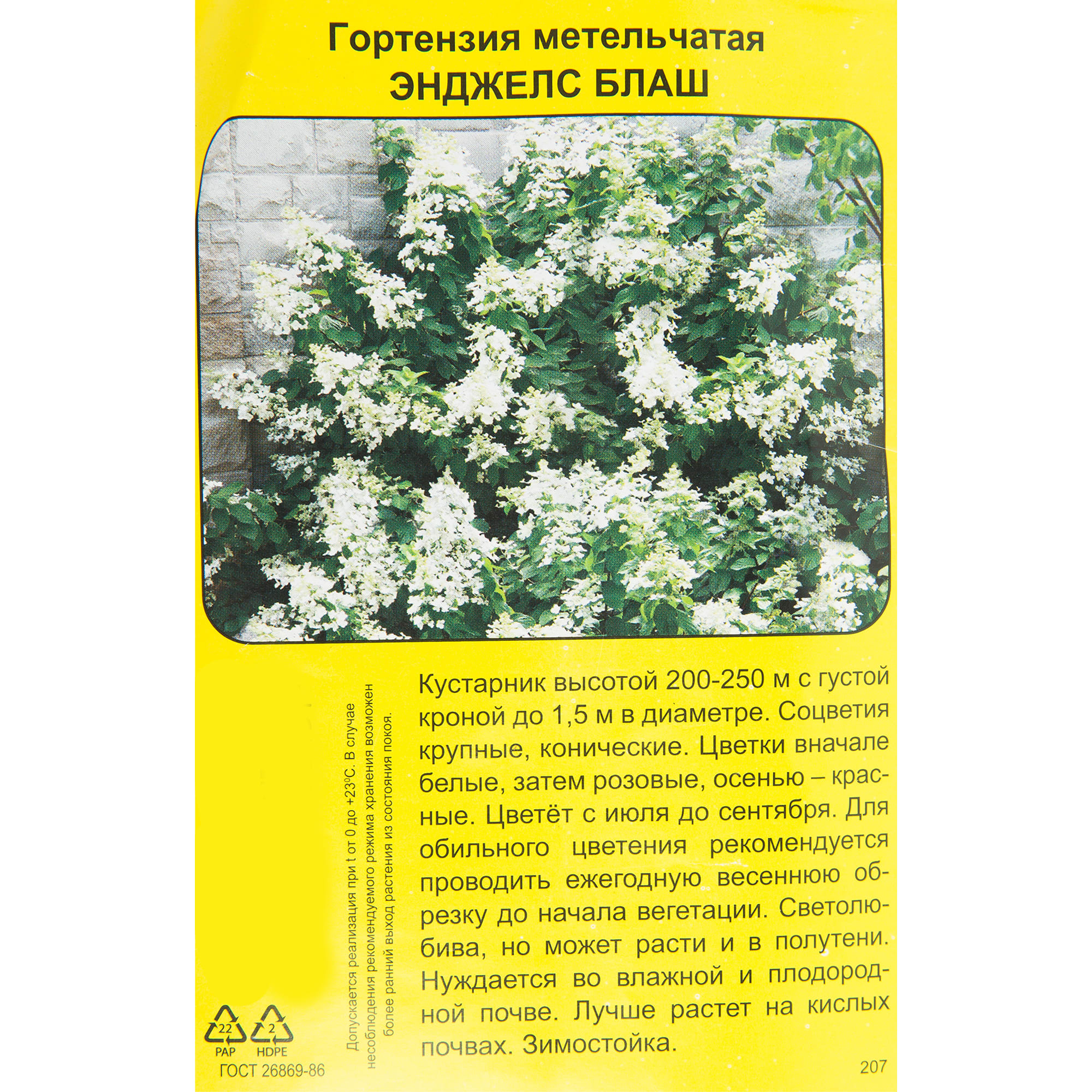 83786893 Гортензия метельчатая Энджелс блаш.пак h40 см Santreyd 