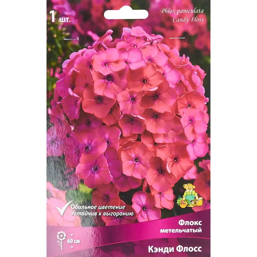 Флокс метельчатый Кэнди флосс луковица I 88294965 STLM-2017553 Santreyd 