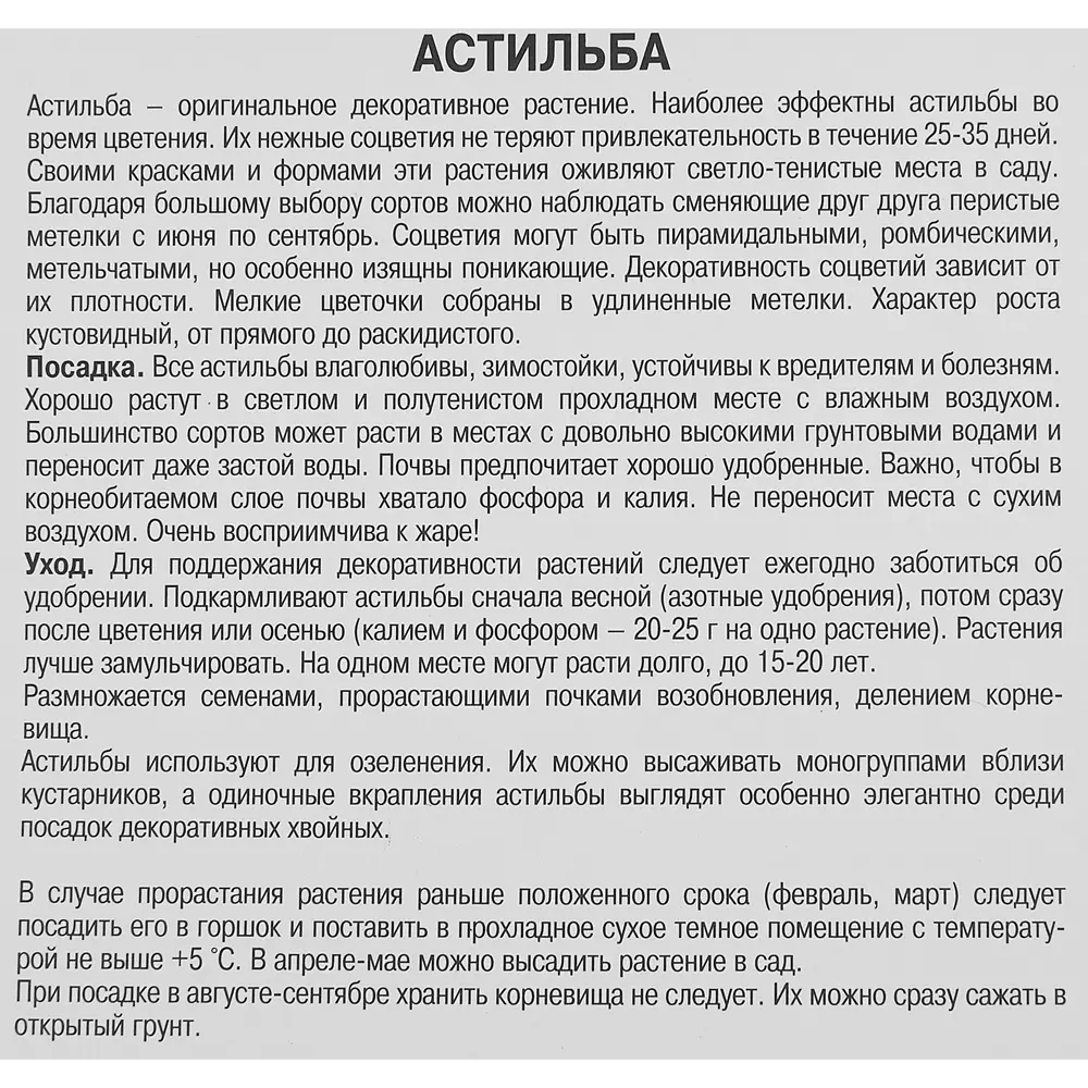 Астильба курчавая Лилипут 85186014 STLM-2142264 ПОИСК  - Вид №2