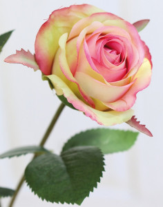 2590 508 a3 Ложная роза, 2 цветка, 1 бутон, 57 см, розово-зеленая H-andreas