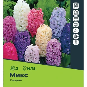 Гиацинт микс луковицы 14/15, 3 шт. 89049671 STLM-2168291