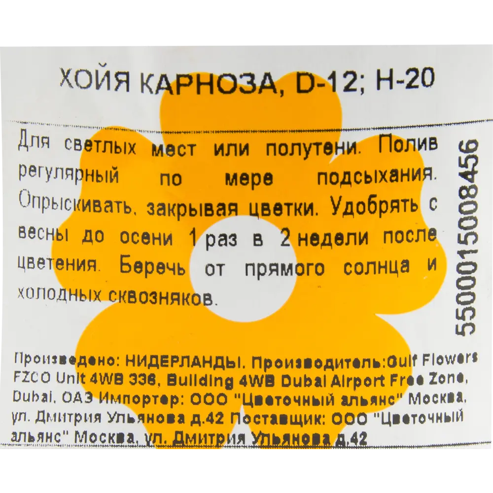 Хойя Карноза 12x20 см 82850413 STLM-2047819 Santreyd  - Вид №2