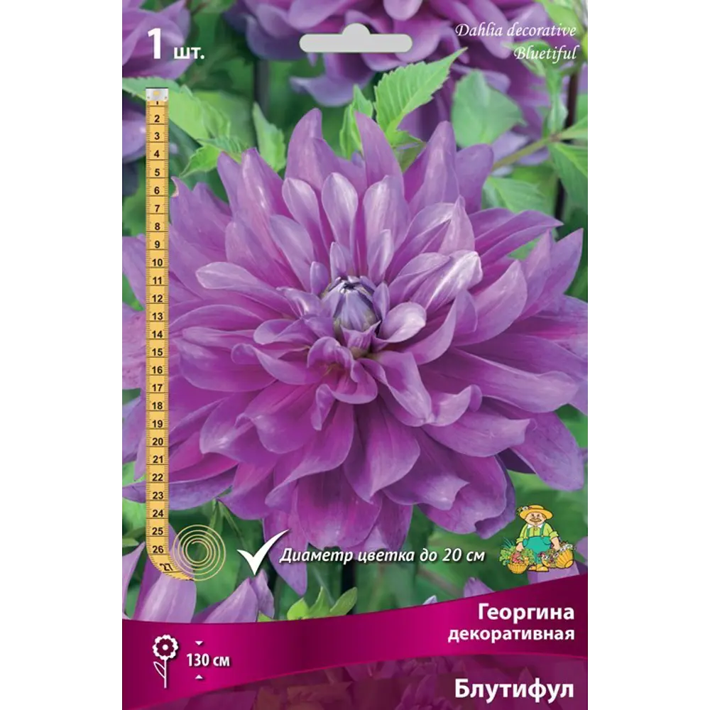 Георгина декоративная Блутифул луковица I 83593736 STLM-2176661 Santreyd 