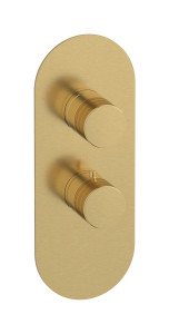 Комплект пластины и ручки Термостатическая виниловая односторонняя вертикальная эллиптическая пластина WE ARE IB eua112osnvn Brushed Gold Aqua