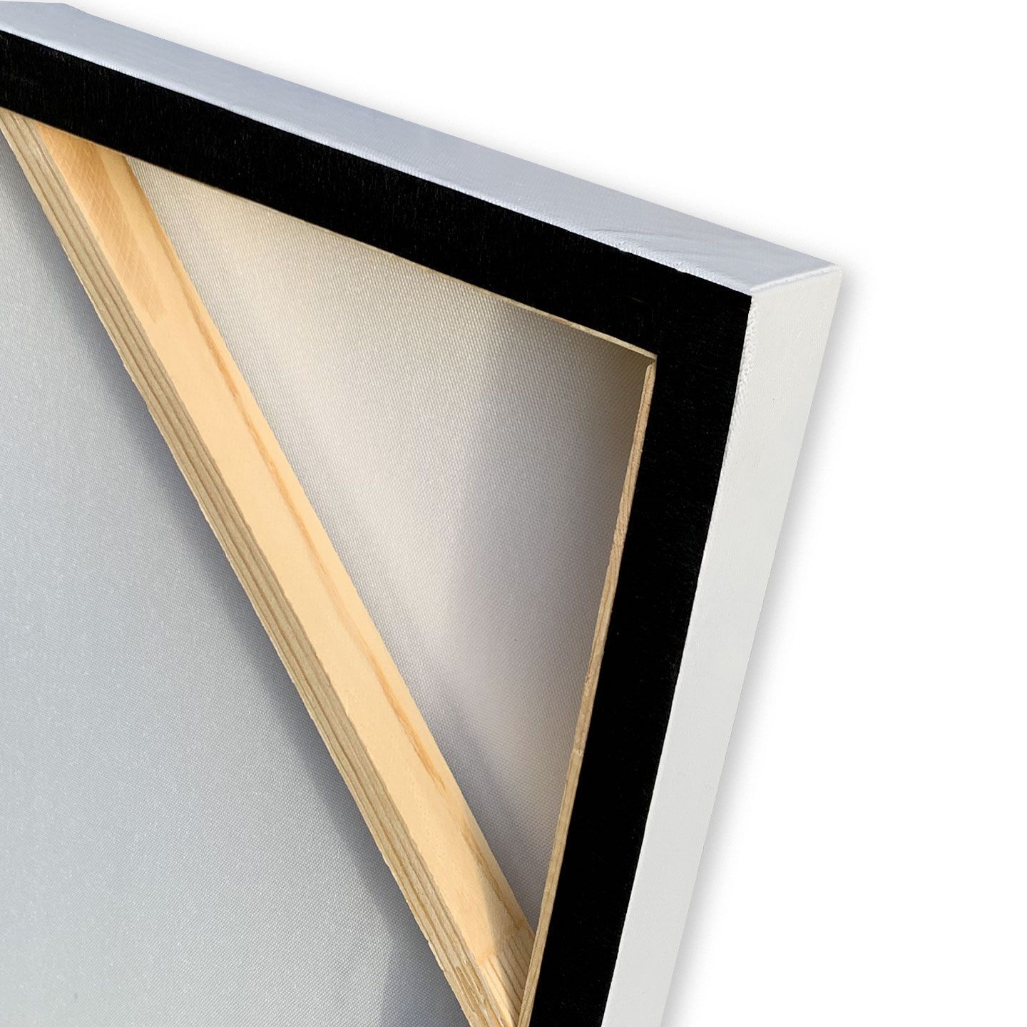 Холст рамки Agave COLORFUL 2 ARCH-00139686 - Вид №3