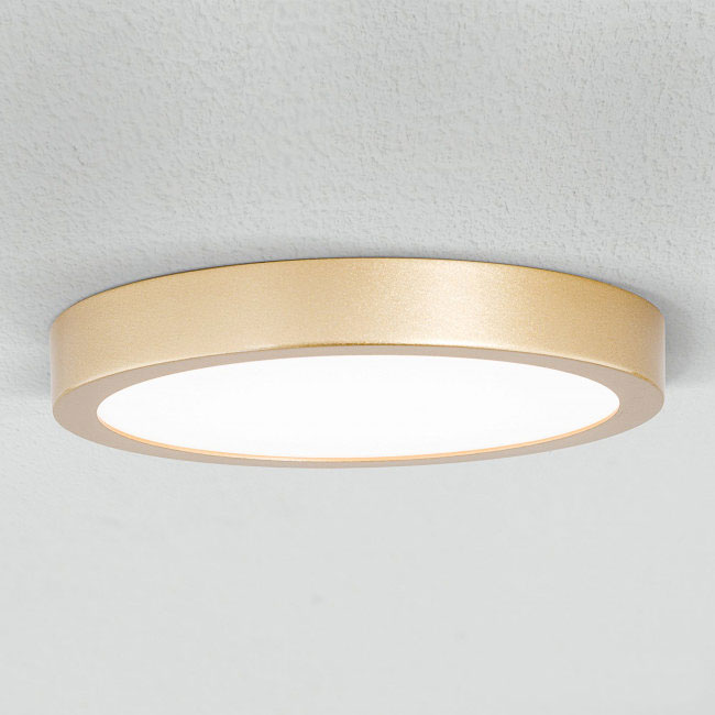 Orion DL 7-622/18 Gold-matt светильник настенно-потолочный 114428 - Вид №2