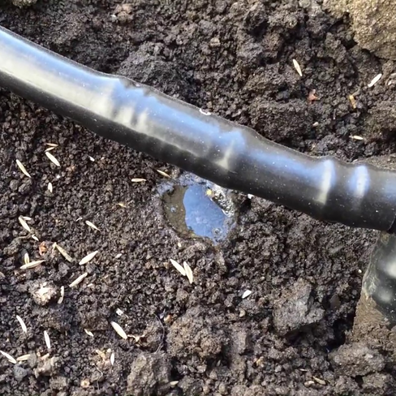 Шланг капельный Rehau 1/2" бухта 50м 202594100 - Вид №4