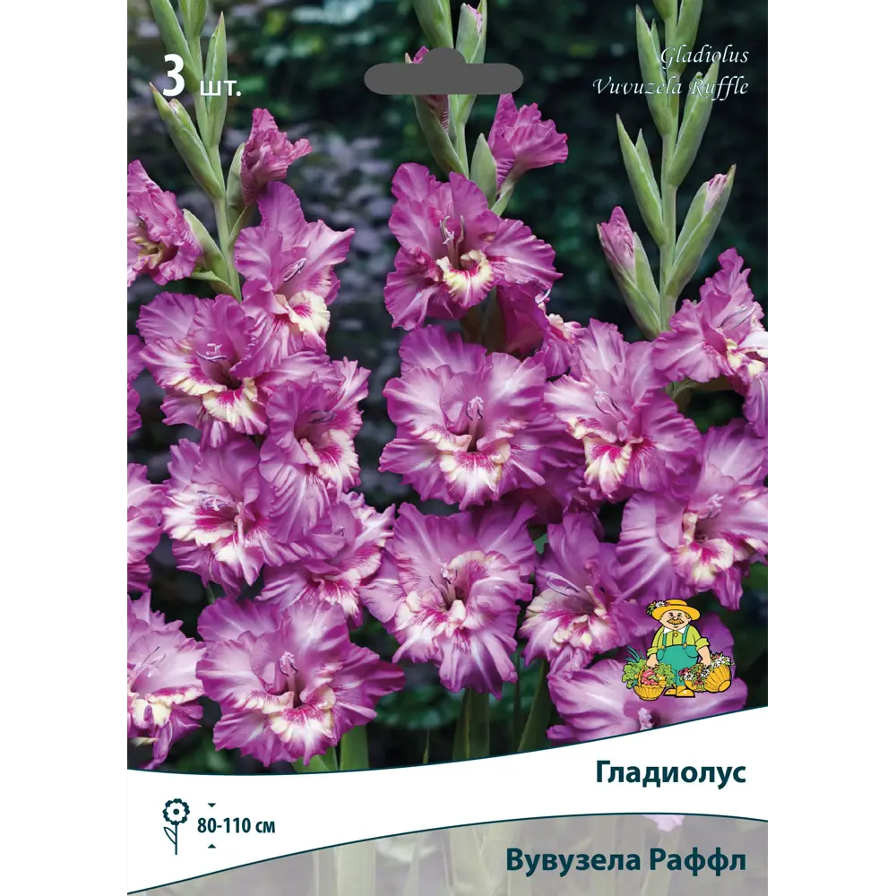 Гладиолус гофрированный Вувузела Раффл луковица 10/12 83596573 STLM-2012357 ПОИСК 