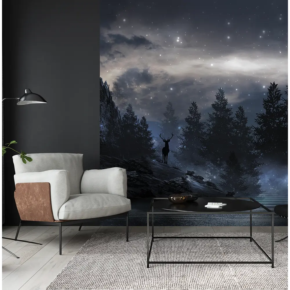 Фотообои Туманная ночь флизелиновые, 300x270 см, L13-206 FBRUSH 3D FLIZART STLM-2013044 - Вид №1