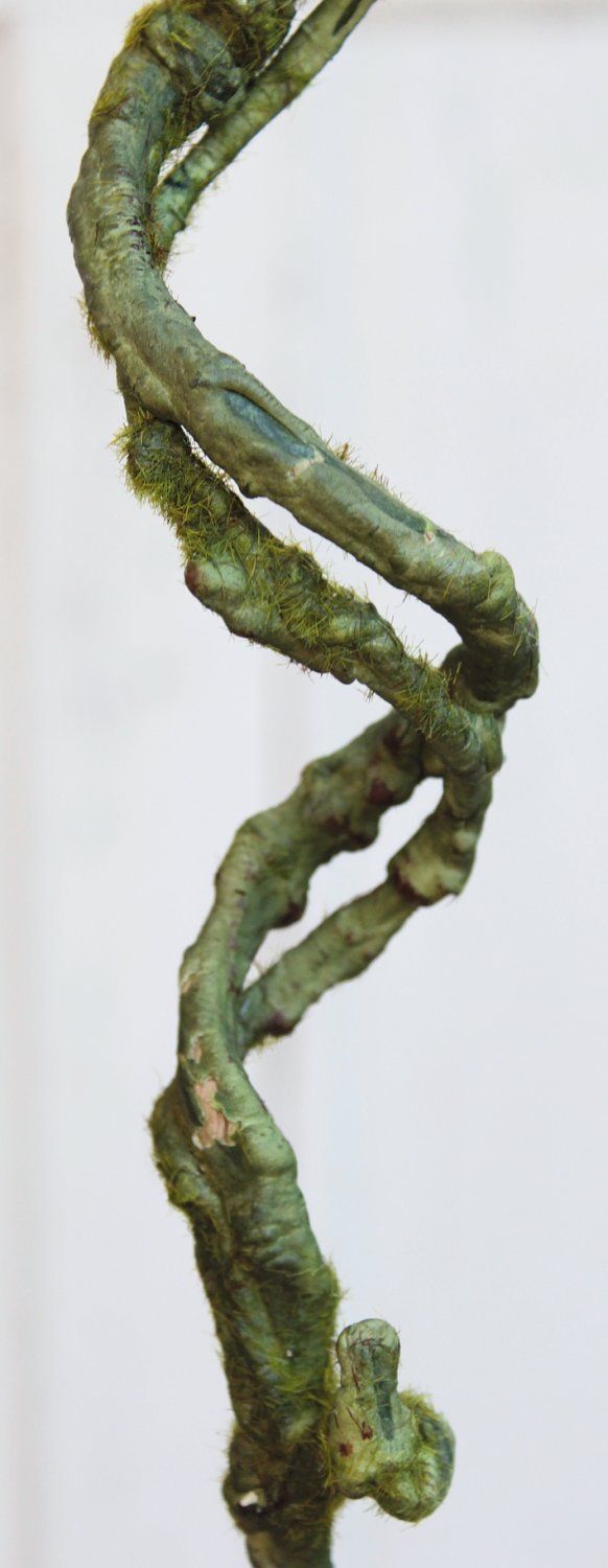 3398 883 a3 Веточка декоративная искусственная 'curly', 76 см, зеленая H-andreas  - Вид №1