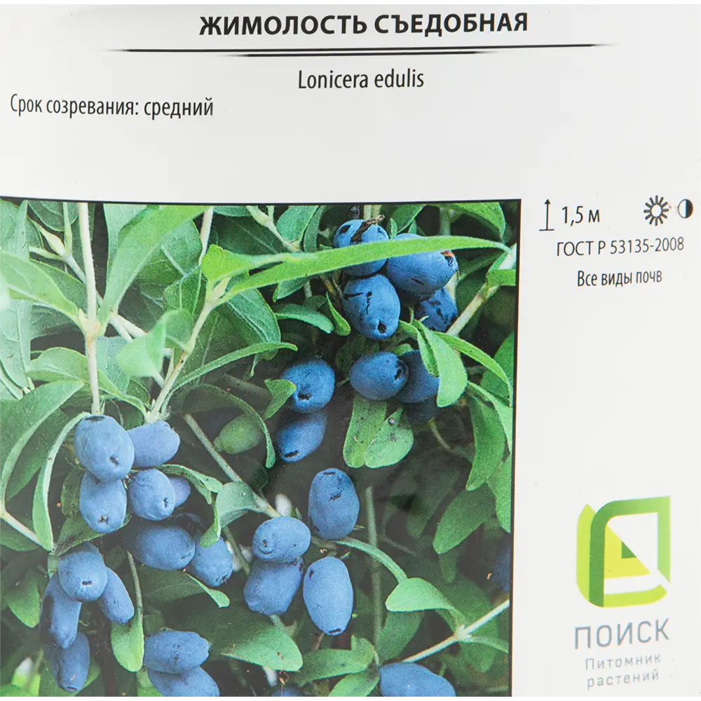 Жимолость съедобная «Павловская» 17x30 см 82585418 STLM-2206103 Santreyd  - Вид №1