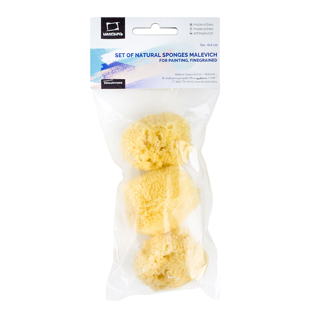 195032 Набор губок натуральных (спонж для красок) 6х4 см 22 см х 10 см х 4 см мелкозернистая Малевичъ 