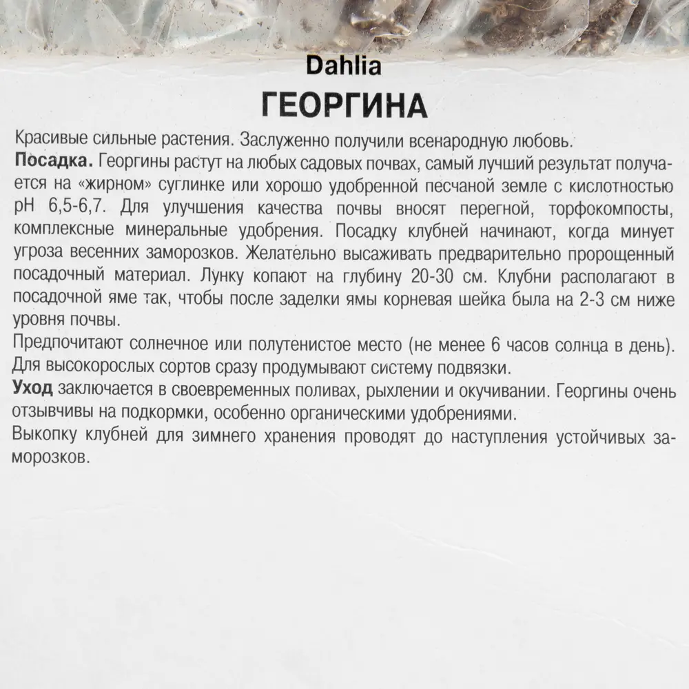 Георгины помпонные «Литтл Роберт», 1 шт. 82118674 STLM-2050694 ПОИСК  - Вид №2
