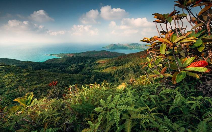 Komar Флизелиновые обои с пейзажами Wanderlust Shx9-043 - Вид №1