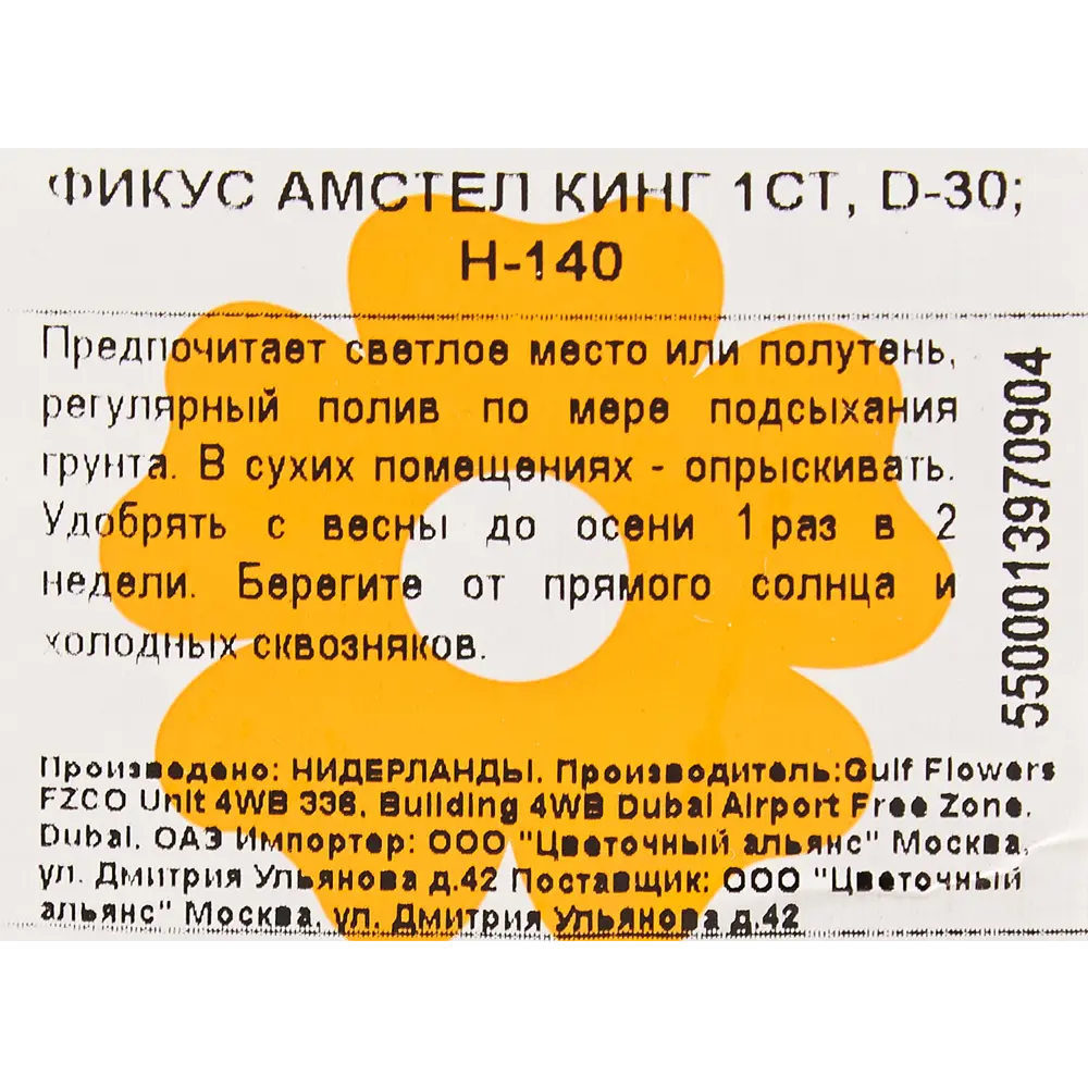 Фикус "Амстел Кинг" 30x140 см 82849682 STLM-2199872 Santreyd  - Вид №2