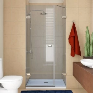 Душевая дверь в нишу 90x200 GK-862B стекло прозрачное 6 мм GUTEWETTER TREND DOOR