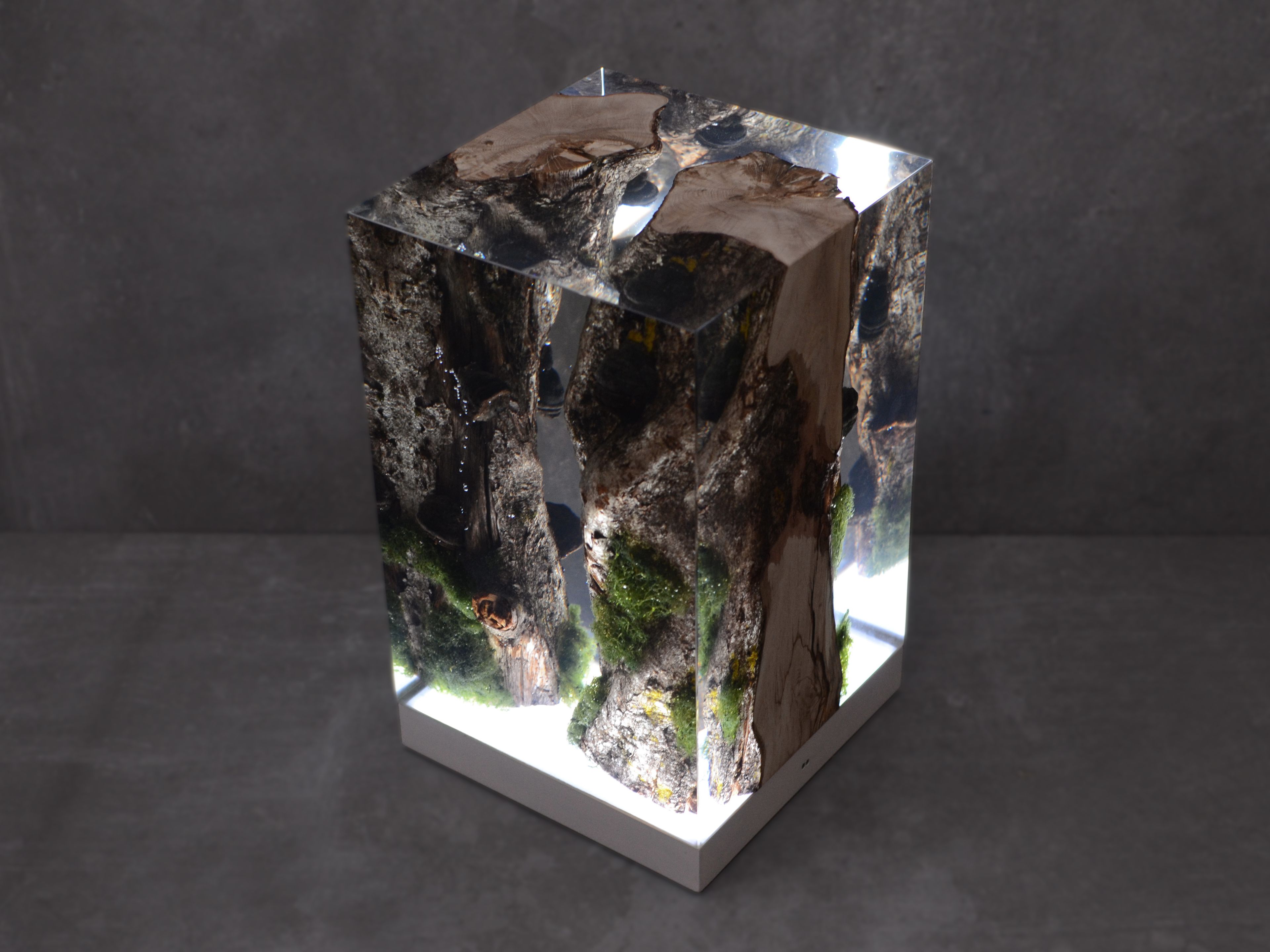 Светодиодная настольная лампа alcarol Подлесок ARCH-00036620 - Вид №4