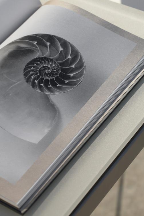 MNST1169 Обеденный стол pcsts white f8 270см x 105см Manutti Trento - Вид №9