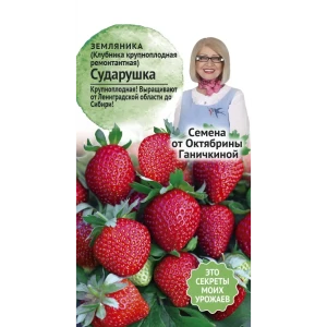 Семена ягод клубника ремонтантная Сударушка 89348031 STLM-2059806