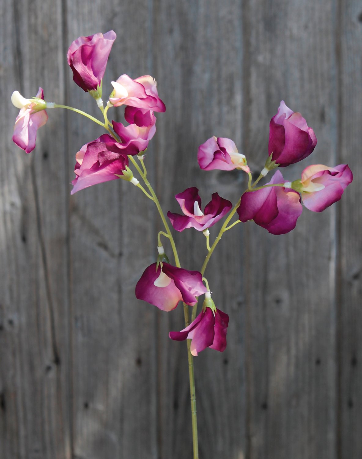 3181 005 a3 Вики искусственные, 4 штуки, 48 см, разноцветная миткалевая роза H-andreas  - Вид №13