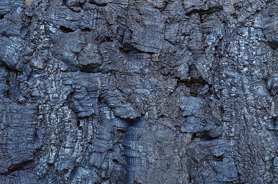 006 070 614 Рельефное пробковое настенное покрытие Bark Bluemoon GRANORTE RustiCork