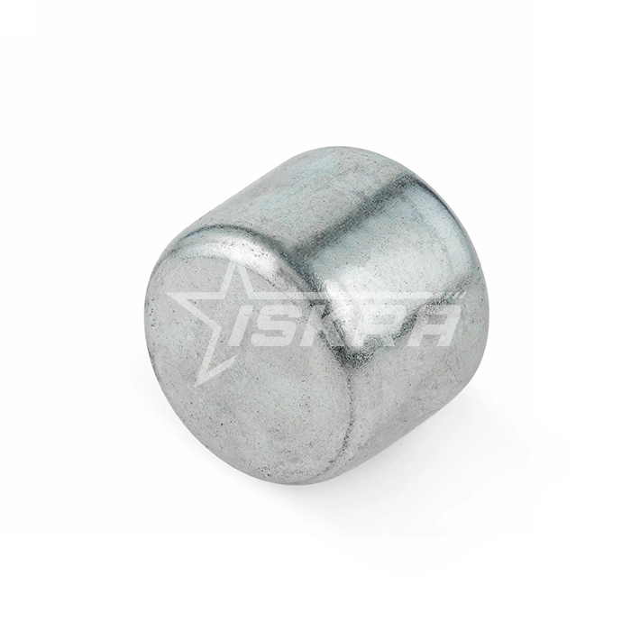 IS2246 Шариковая опора CY19C CS/CS ISKRA  - Вид №4