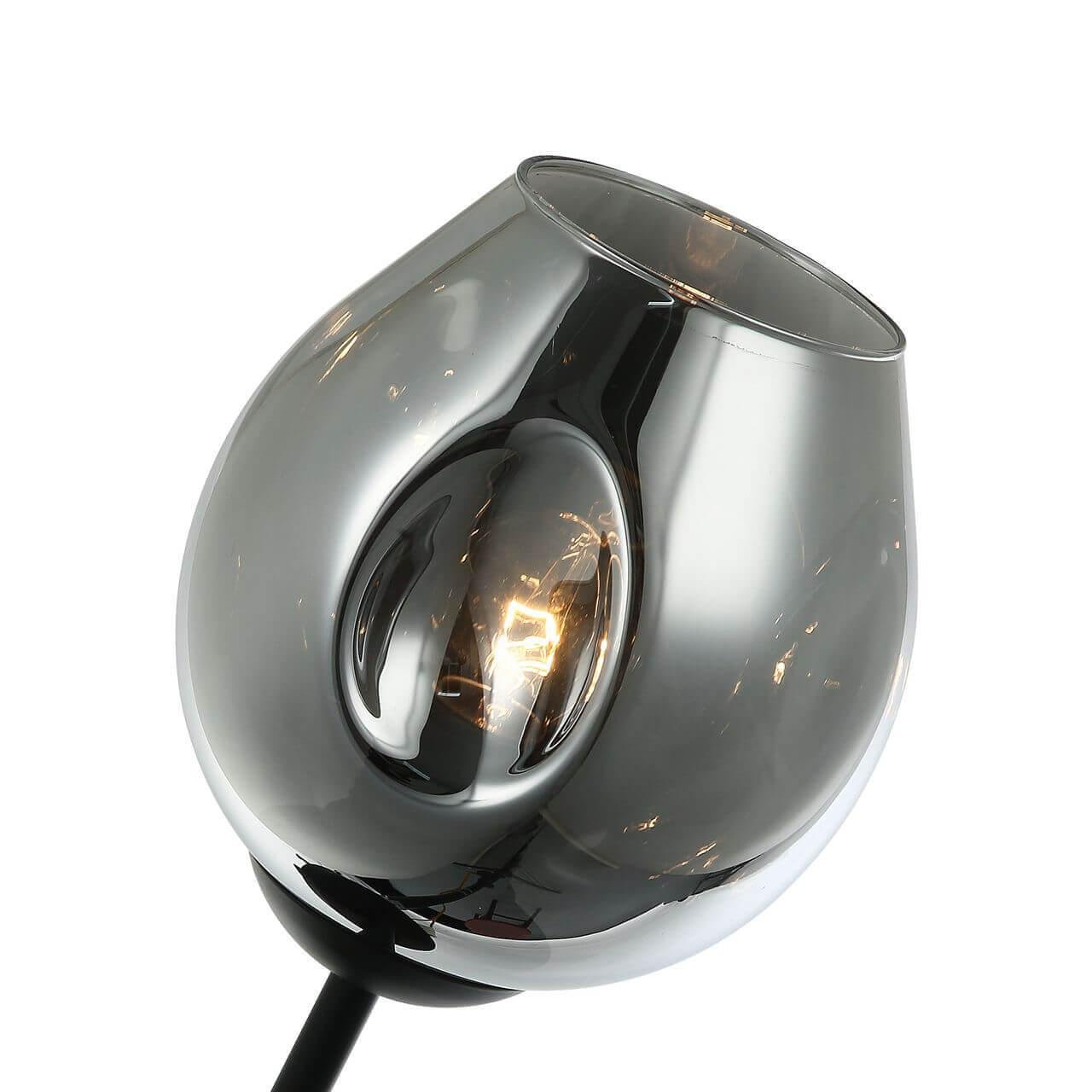 Бра настенное серое Favourite Traube 2359-1W FAVOURITE ФЛОРИСТИКА 00-3929574 Серый  - Вид №3