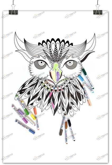 Groovy Magnets Магнитная доска Whiteboard sun-id-1361602