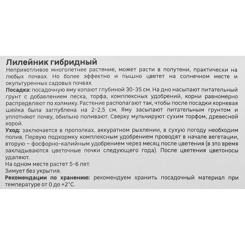 Лилейник Geolia гибридный Файнал Тач 86408711 STLM-2009589  - Вид №3