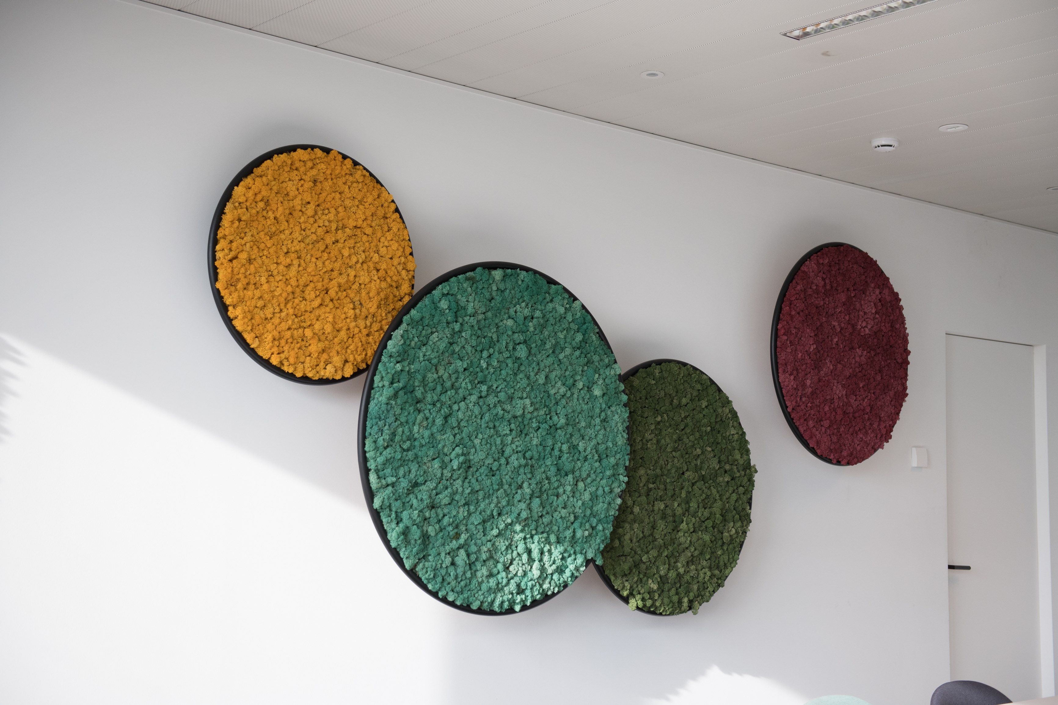 Растительная картина в стабилизированных растениях GREENMOOD G-Line ARCH-00117298 - Вид №3