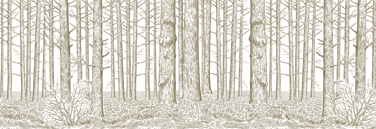 Стеновые панели - Вальдиссимо LIGRON LIST93 2320 - Вид №1