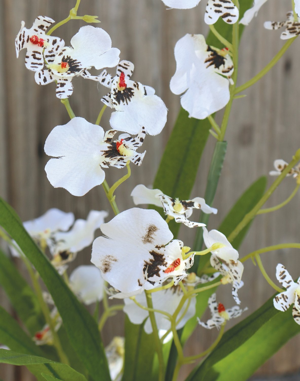 2516 778 a3 Синтетическая орхидея онцидиум, горшечная, 50 см, бежево-белая H-andreas  - Вид №3