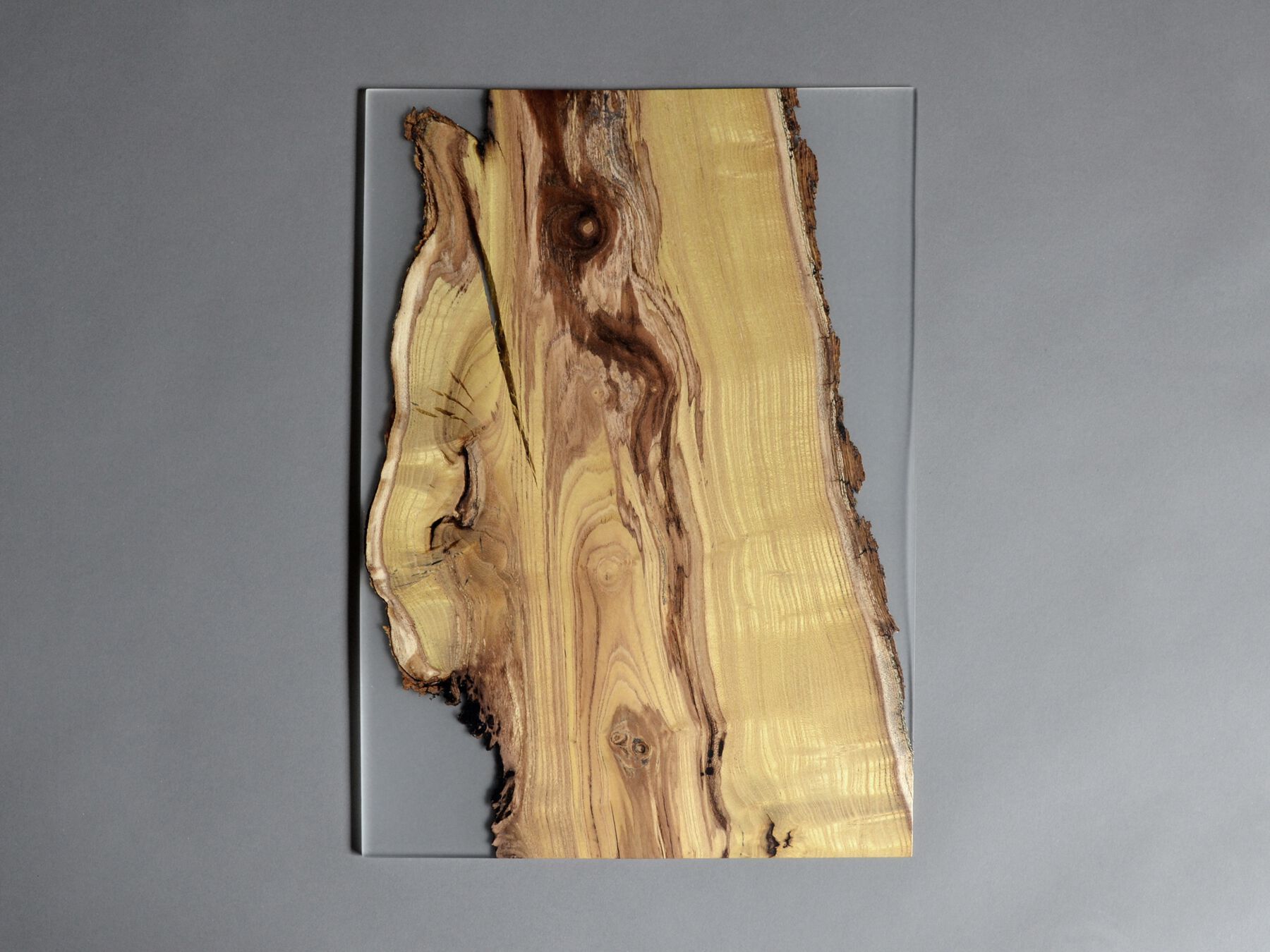 Рамка из массива дерева и смолы alcarol Undergrowth ARCH-00082208 - Вид №1