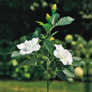 L30X6 Цветок Гардении Adriani e Rossi белый