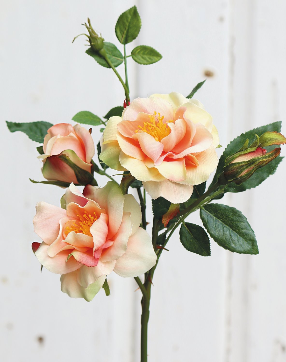 3370 553 a2 Ложная роза 'cornelia', 41 см, абрикос H-andreas  - Вид №1