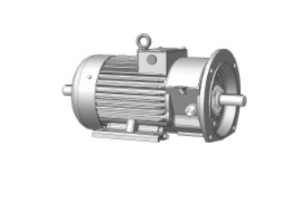 15979691 Крановый электродвигатель ДМТН 112-6 У1 IM 2001 02491 ТМ БЭЗ
