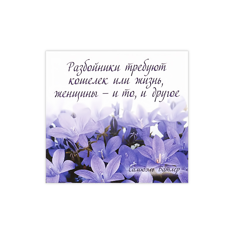 1183 Магнит ПВХ 8.5 x 5 см Разбойники требуют кошелек… Santreyd 