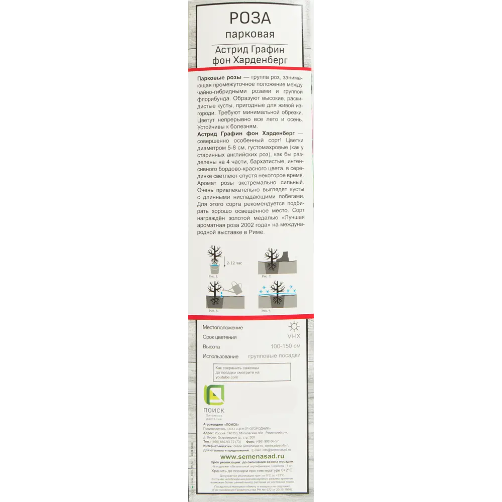 Роза парковая Астрид Графин Фон Харденберг 82527352 STLM-2163964 Santreyd  - Вид №1