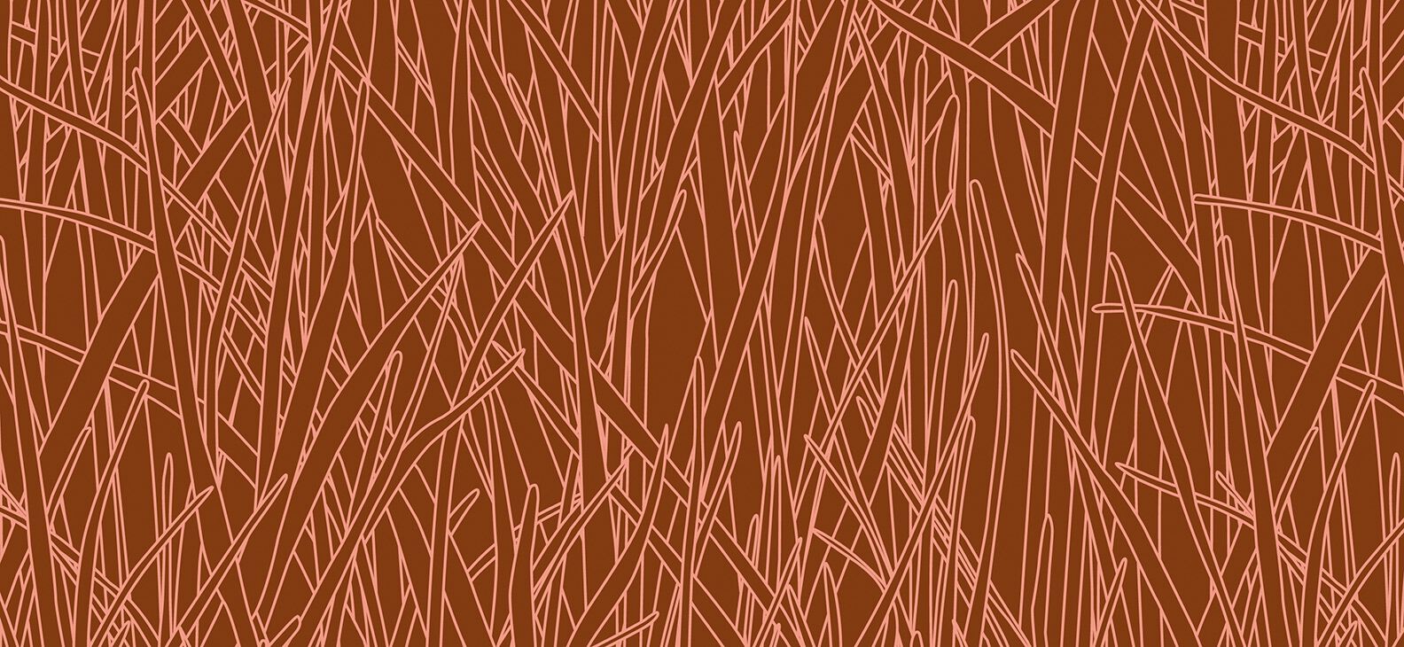 Обои с рисунком Ressource Фауна и Флора ARCH-00072551 - Вид №1