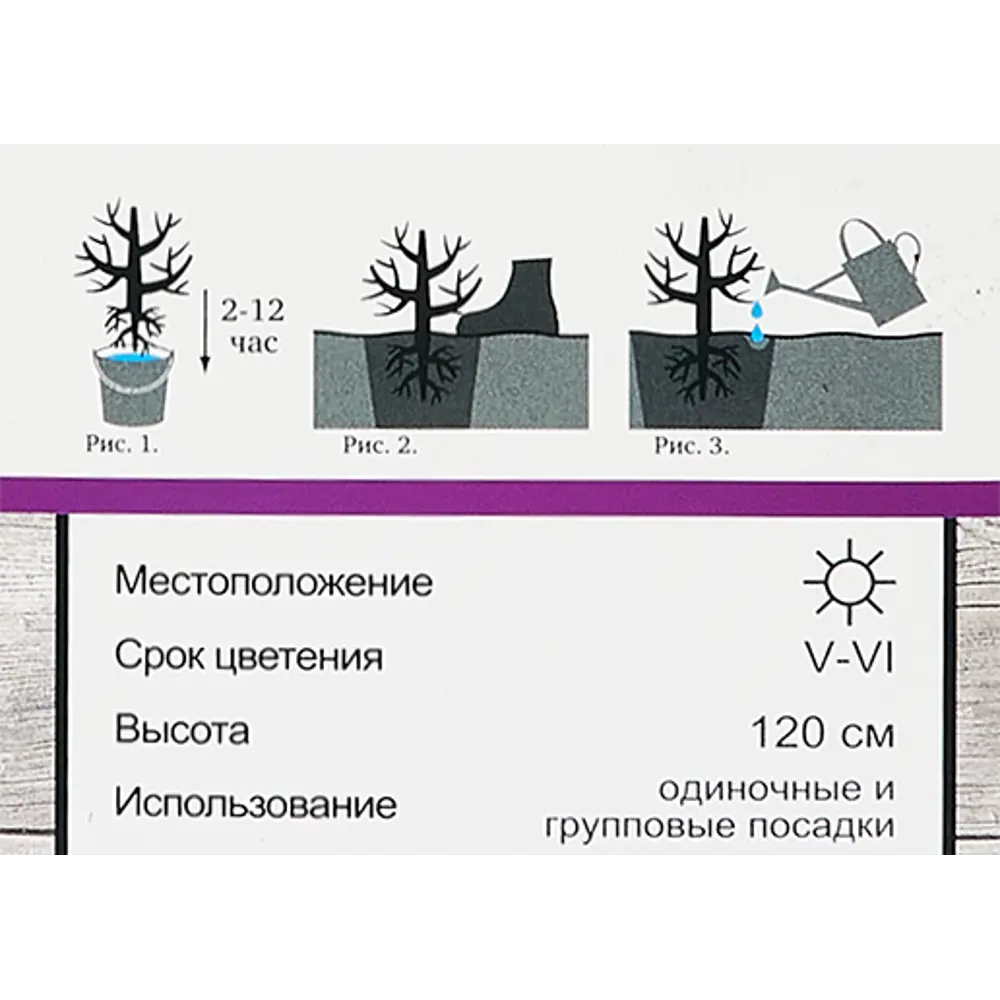Пион Лантиан Джей ø9 h39 см 83738701 STLM-2160125 Santreyd  - Вид №4