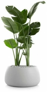 Diabla Пластиковый садовый горшок Gobi