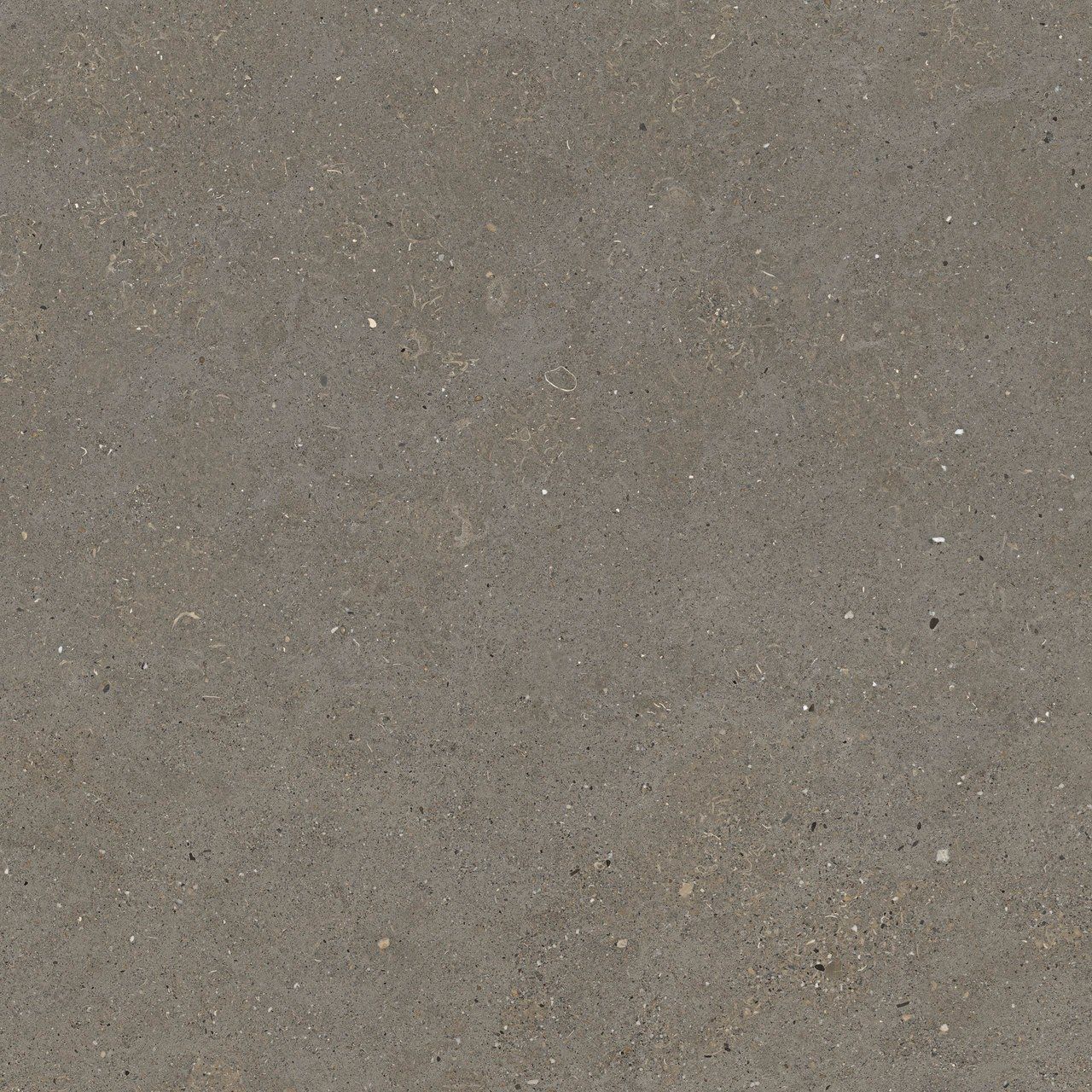 Пол / облицовка керамогранита с эффектом камня Fiandre сплошная ARCH-00087079 - Вид №20