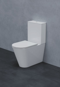 Пол керамический моноблочный туалет