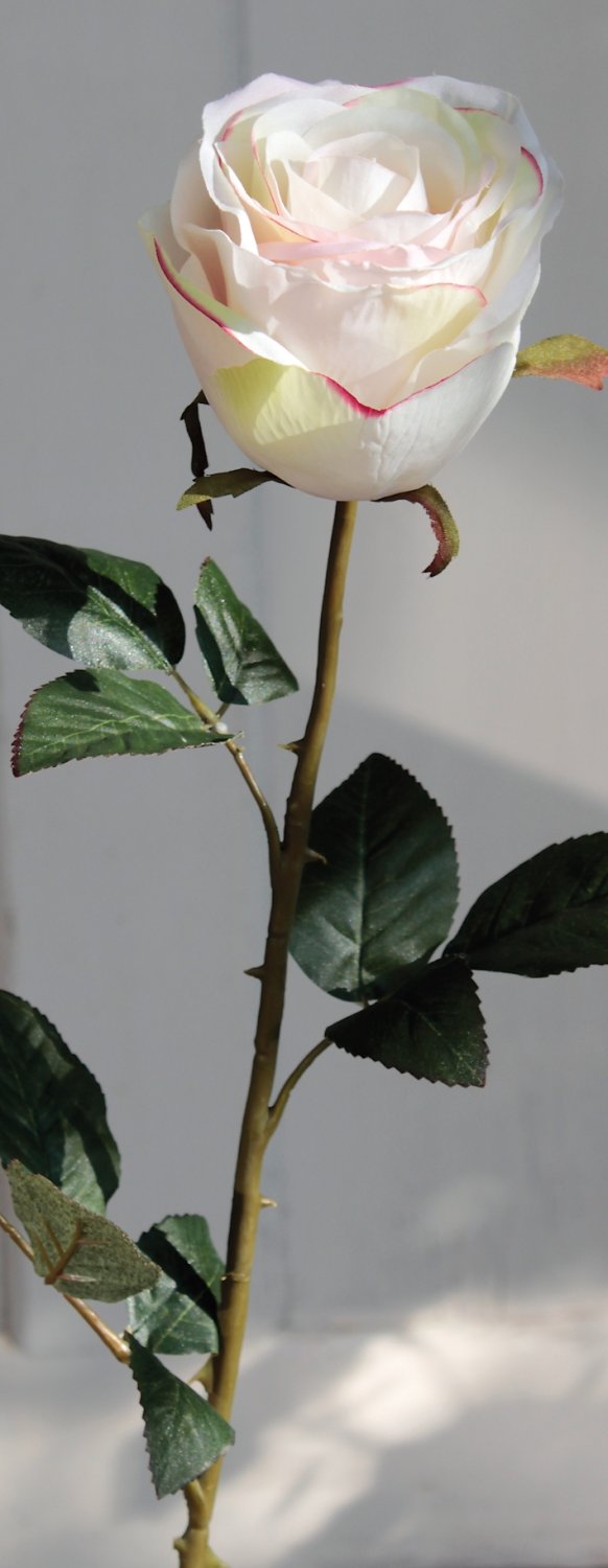 9816 755 a3 Искусственная роза, 90 см, бежево-розовая H-andreas 