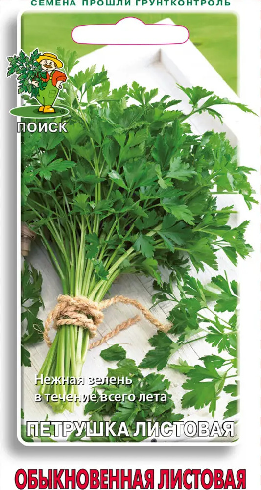 ПОИСК Петрушка Обыкновенная листовая - ароматная зелень для вашего стола 83227423