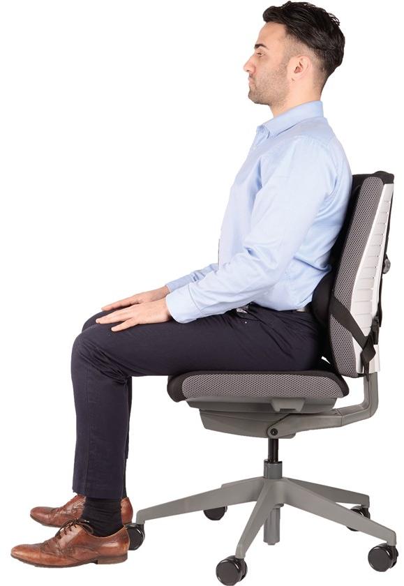 Fellowes Поддержка спины  8041801  - Вид №3