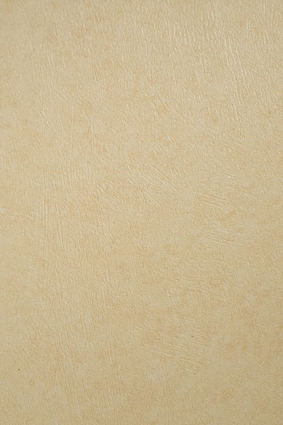 Панель ПВХ Интонако желтый Ламинированная панель  250мм DEKOR PANEL DP234